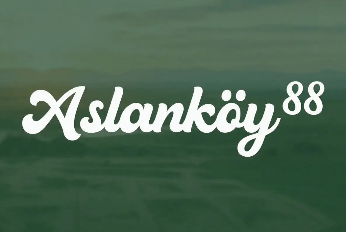 aslanköy arsaları